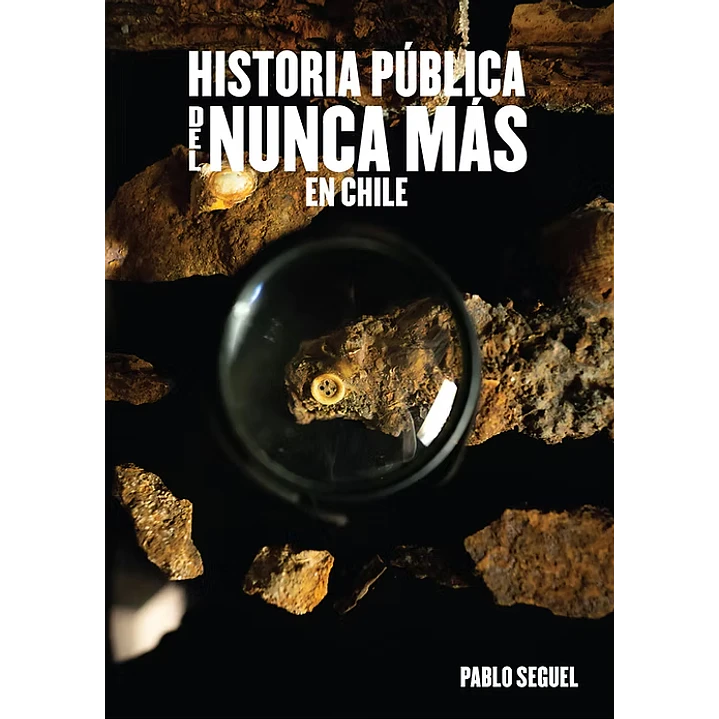 Historia Publica Del Nunca Más En Chile - Seguel, Pablo 1