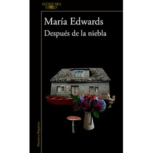 Despues De La Niebla - Edwards, Maria