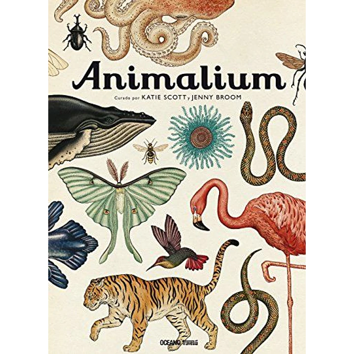 Animalium - Katie Scott Jenny Broom 1