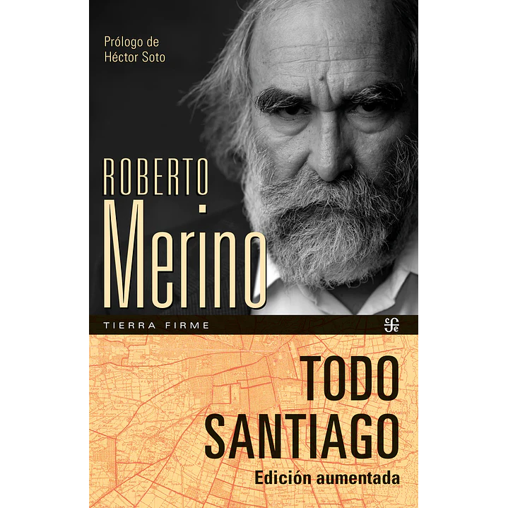 Todo Santiago - Merino, Roberto 1