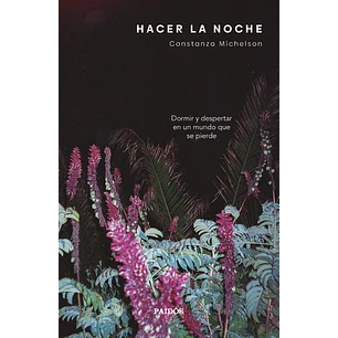 Hacer La Noche - Constanza Michelson
