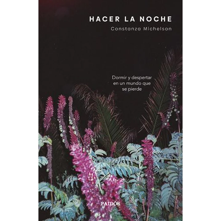 Hacer La Noche - Constanza Michelson 1