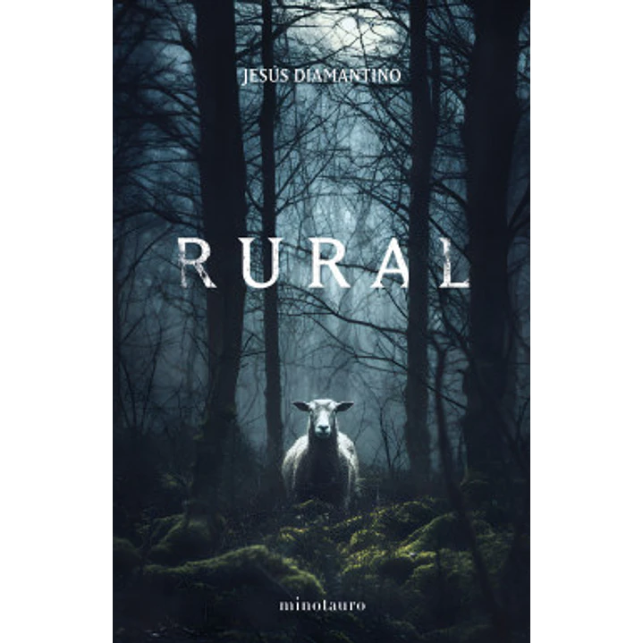 Rural - Diamantino, Jesus 1