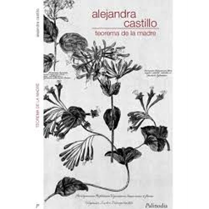 Teorema De La Madre - Castillo, Alejandra 1