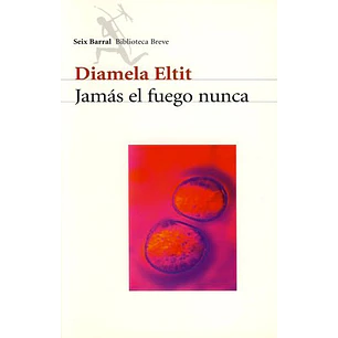 Jamas El Fuego Nunca - Eltit, Diamela