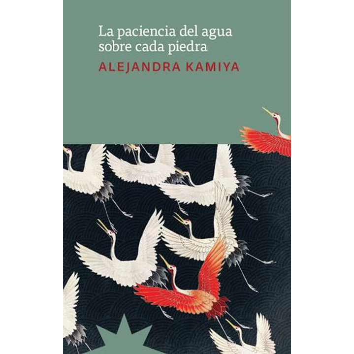 La Paciencia Del Agua Sobre Cada Piedra - Kamiya, Alejandra 1
