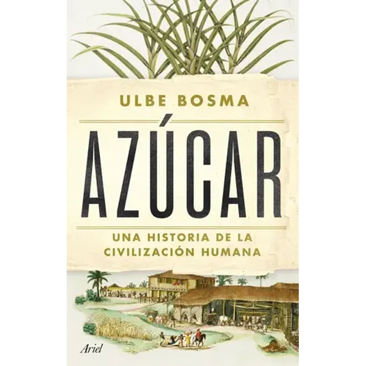 Azucar - Bosma, Ulbe 1
