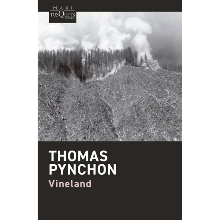 Vineland - Pynchon, Thomas 1
