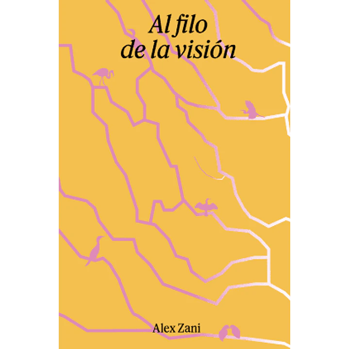 Al Filo De La Vision - Zani, Alex 1