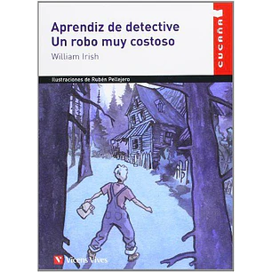 Aprendiz De Detective Un Robo Muy Costoso - Irish, William