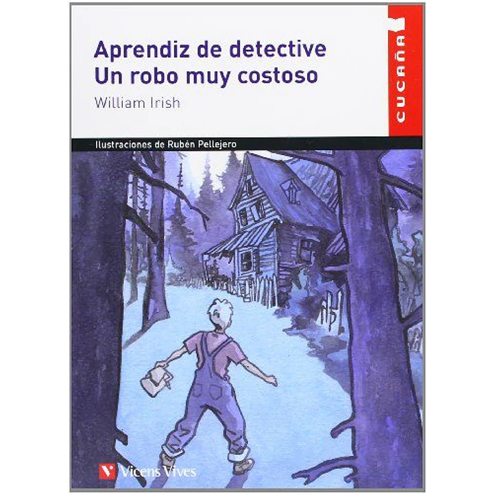 Aprendiz De Detective Un Robo Muy Costoso - Irish, William 1