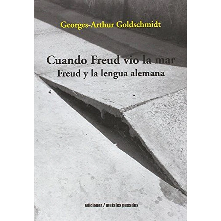 Cuando Freud Vio La Mar - Goldschmidt, Georges-arthur 1