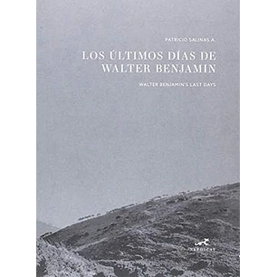 Los Ultimos Dias De Walter Benjamin - Salinas, Patricio