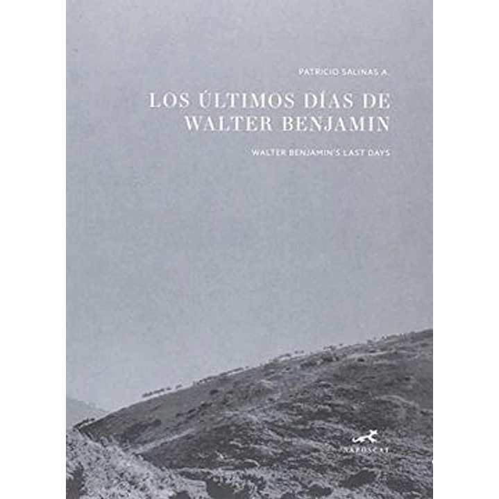 Los Ultimos Dias De Walter Benjamin - Salinas, Patricio 1