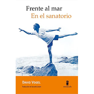 Frente Al Mar En El Sanatorio - Vogel, David