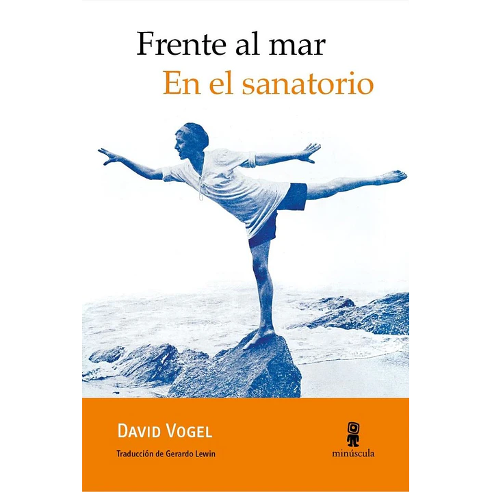Frente Al Mar En El Sanatorio - Vogel, David 1