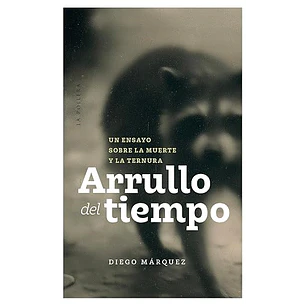 Arrullo Del Tiempo - Marquez, Diego