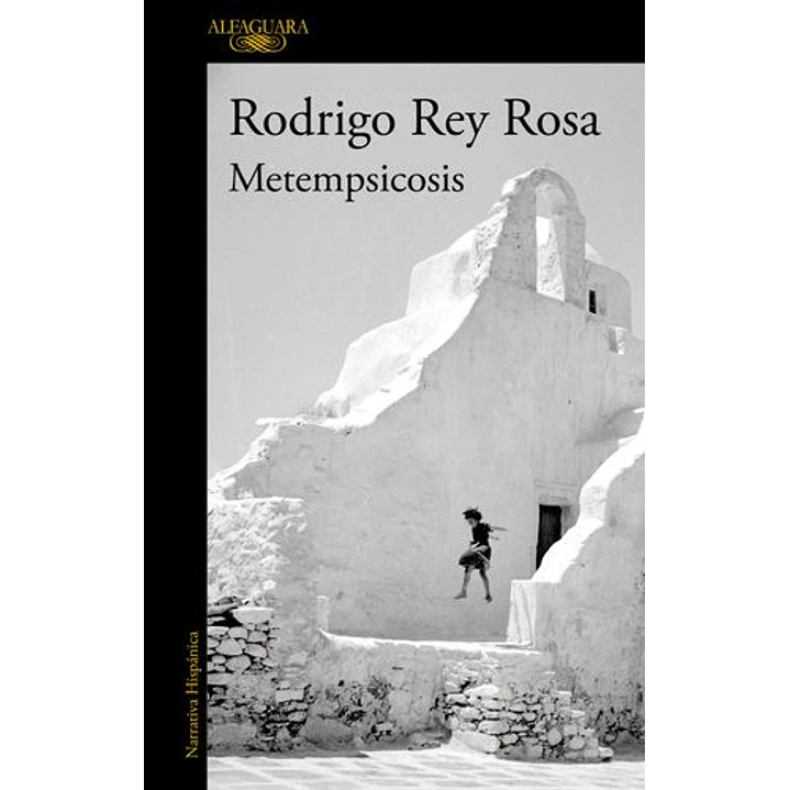 Metempsicosis - Rey Rosa, Rodrigo 1