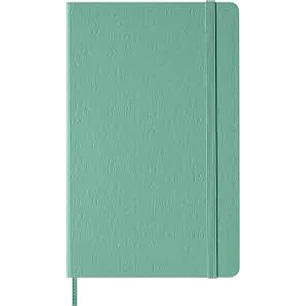 Classic Notebook Con Relieve Large Verde Salvia De Rayas Td - Moleskine
