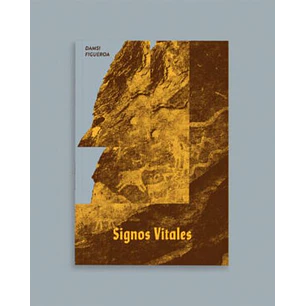 Signos Vitales - Figueroa, Damsi
