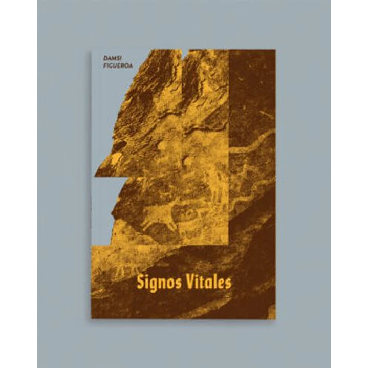 Signos Vitales - Figueroa, Damsi 1