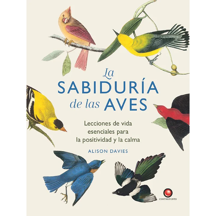 La Sabiduria De Las Aves - Davies, Alison 1