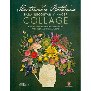 Ilustracion Botanica Para Recortar Y Hacer Collage - Sin Autor