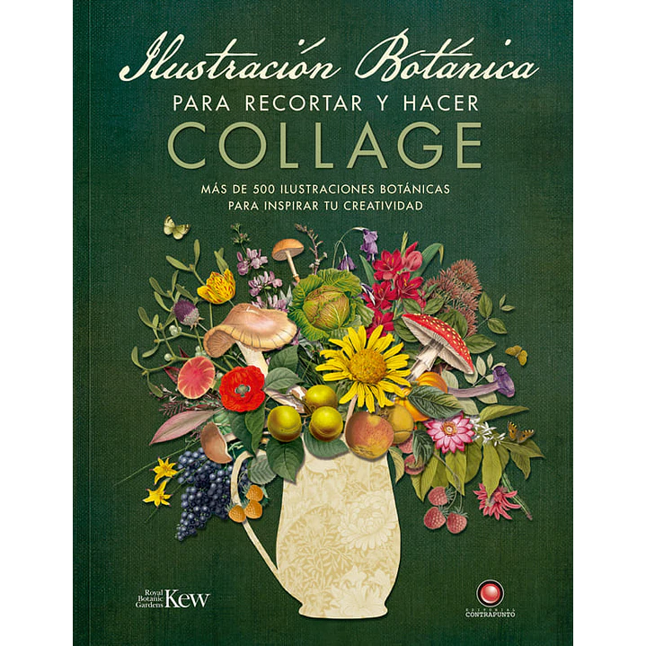 Ilustracion Botanica Para Recortar Y Hacer Collage - Sin Autor 1