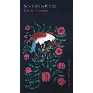 Un Mapa Cómo - Herrera Peralta, Sara