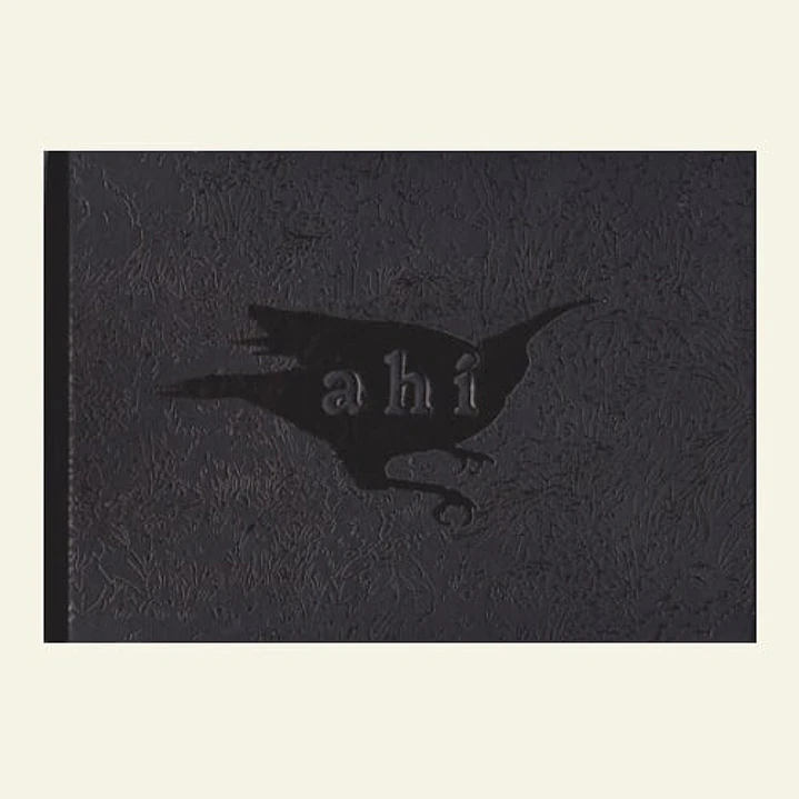 Ahi - Aguilera, C. Y Cociña, V. 1