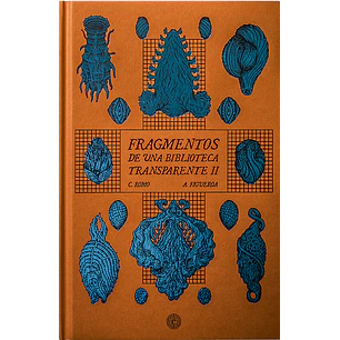 Fragmentos De Una Biblioteca Transparente Ii - Romo, C. - Figueroa, A.