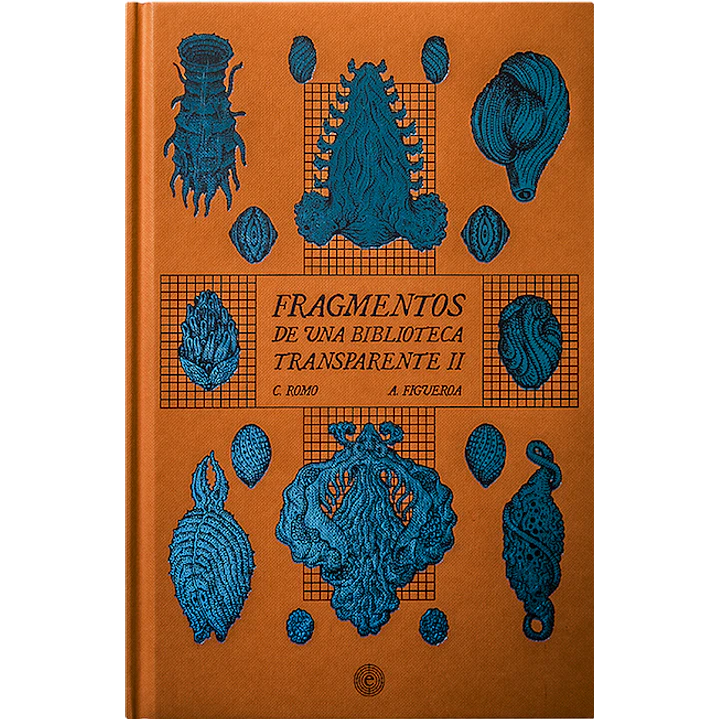Fragmentos De Una Biblioteca Transparente Ii - Romo, C. - Figueroa, A. 1