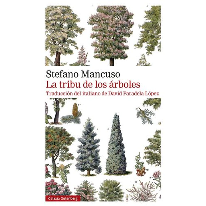 La Tribu De Los Arboles - Mancuso, Stefano 1