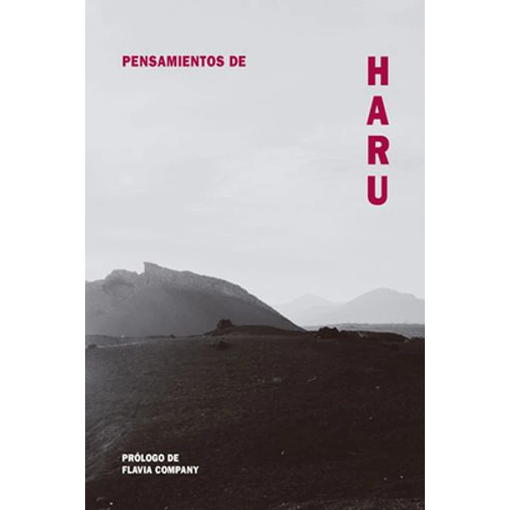 Pensamientos De Haru - Company, Flavia 1