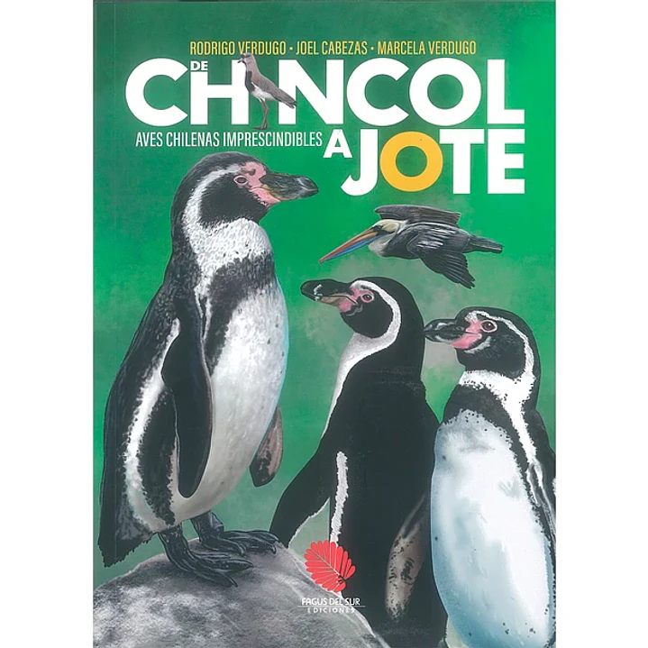 De Chincol A Jote - Aves Chilenas Imprescindibles - Verdugo, Rodrigo; Cabezas, Joel; Verdugo, Marcela 1