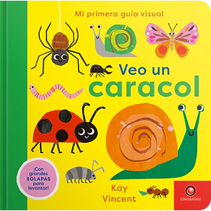Mi Primera Guia Visual Veo Un Caracol - Vincent, Kay