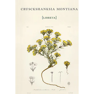 Libreta Crusckshanksia Montiana  - Gay, Claudio