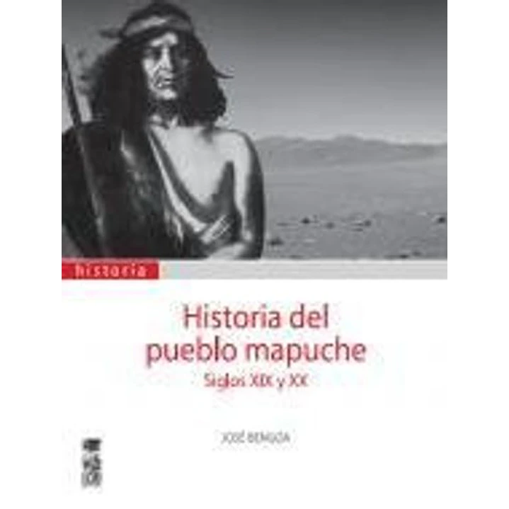 Historia Del Pueblo Mapuche Siglo Xix Y Xx - Bengoa, Jose 1
