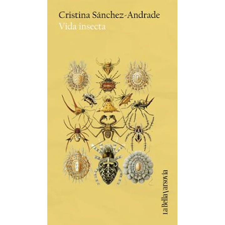 Vida Insecta - Sanchez-andrade, Cristina 1