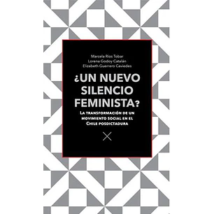 Un Nuevo Silencio Feminista - Varios Autores