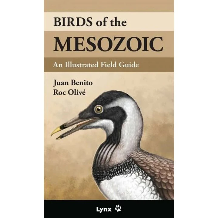 Birds Of The Mesozoic (Ingles) - Benito, Juan; Olive, Roc 1