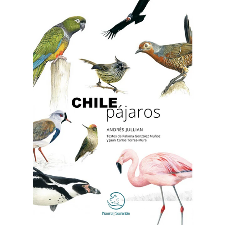 Chile Pajaros - Jullian, Andres 1