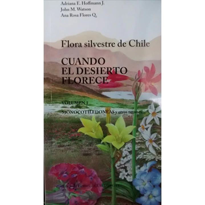 Cuando El Desierto Florece - Hoffmann, Adriana 1
