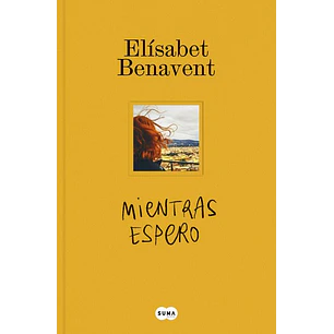 Mientras Espero - Benavent, Elisabet