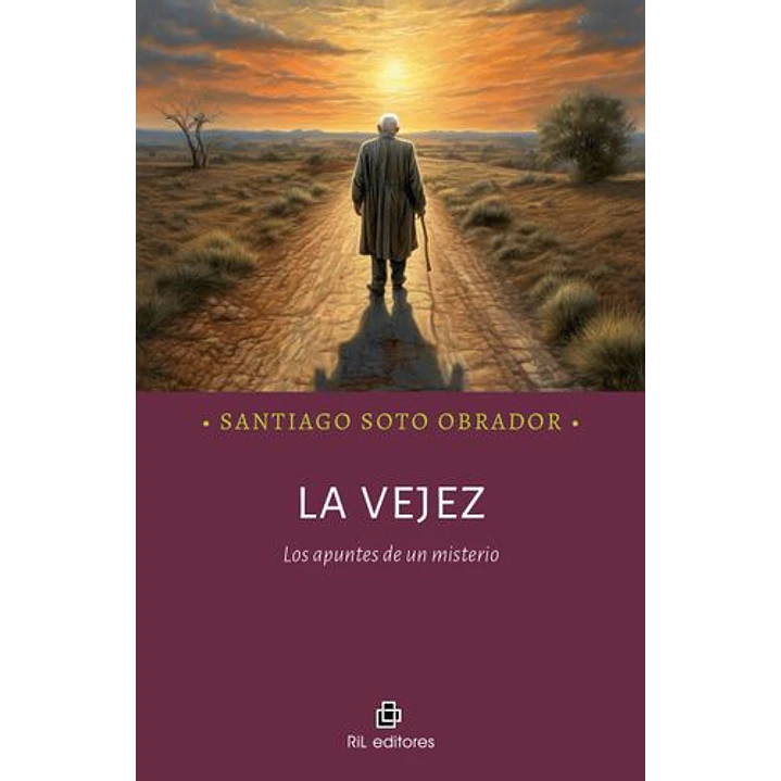 La Vejez Los Apuntes De Un Misterio - Soto Obrador, Santiago 1