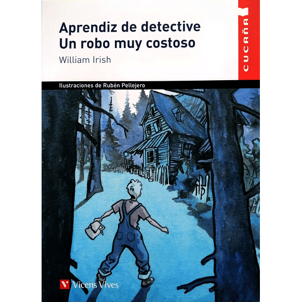 APRENDIZ DE DETECTIVE: UN ROBO MUY COSTOSO 