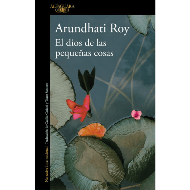 EL DIOS DE LAS PEQUEÑAS COSAS 