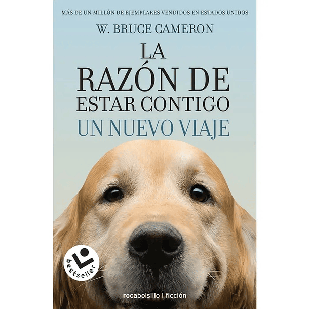 LA RAZON DE ESTAR CONTIGO 2. UN NUEVO VIAJE 