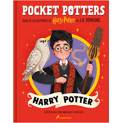 Pocket Potters - Harry Potter