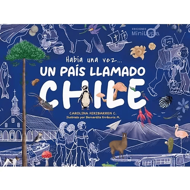 HABÍA UNA VEZ UN PAÍS LLAMADO CHILE  